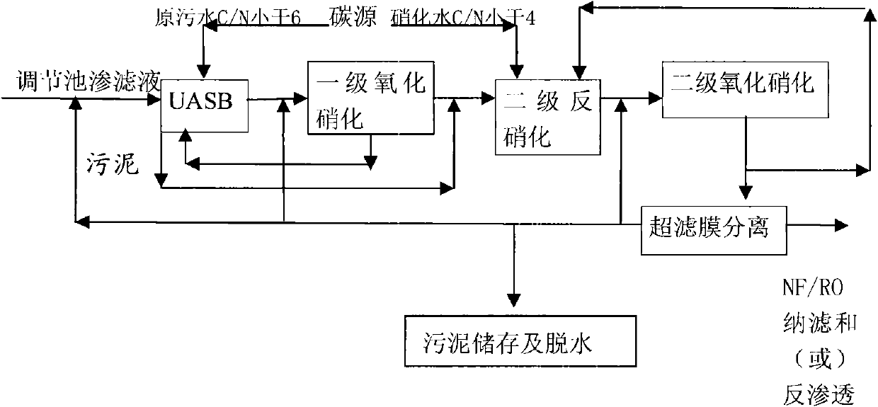 New high-nitrogen organic sewage treatment biochemical denitrification process