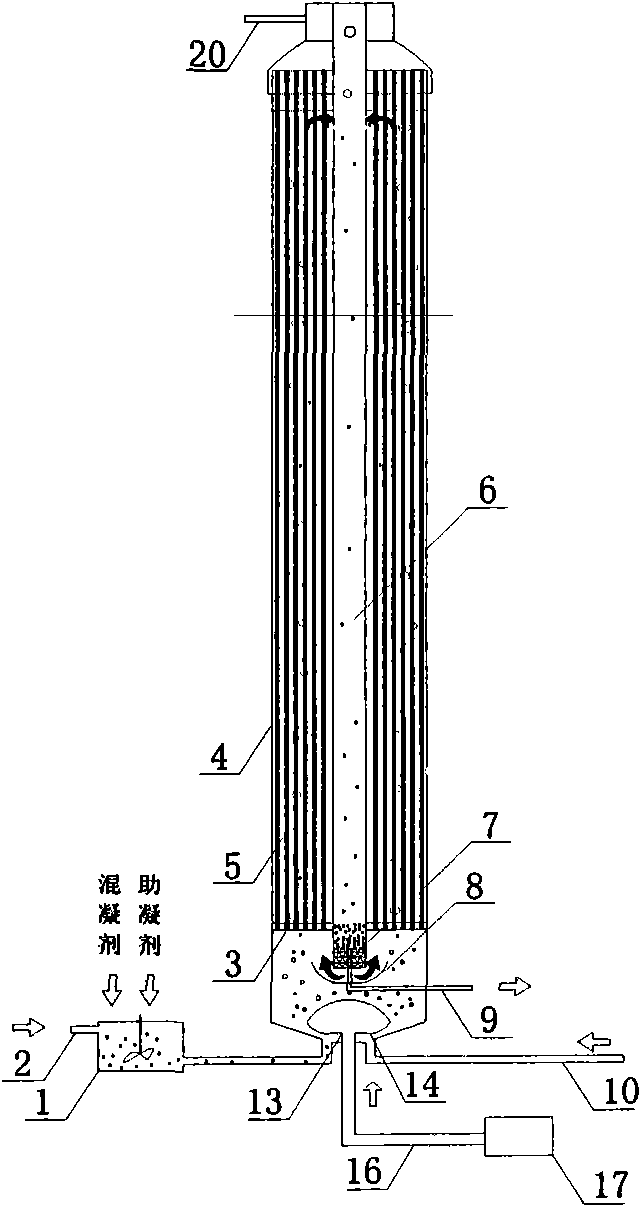 Enhanced coagulation-gas stripping-membrane integration method and device for lightening membrane pollution