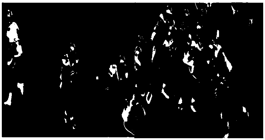 Target Tracking Method Based on Local Sparse Representation Based on l0 Regularization