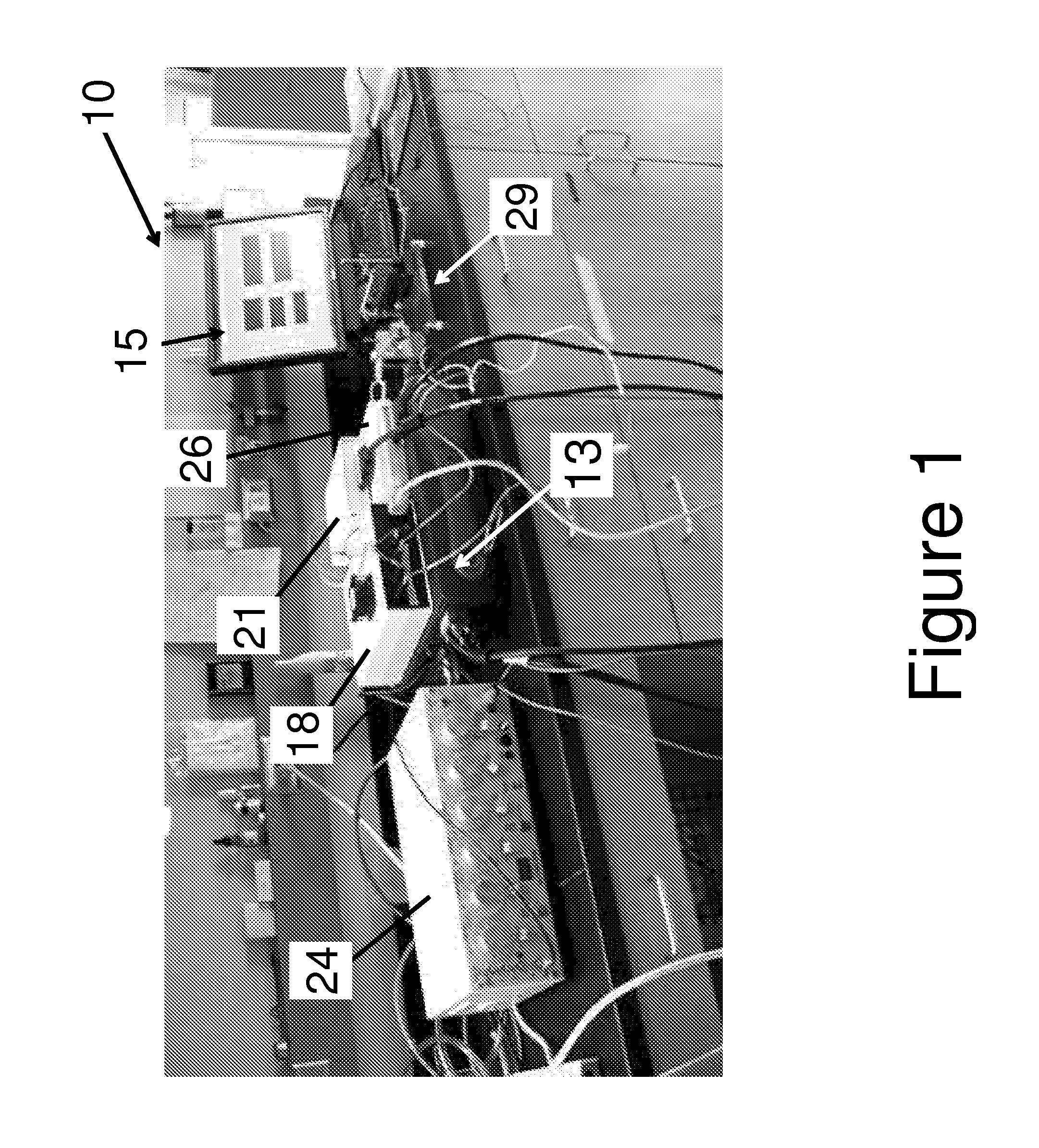 Small-Animal Unit for Muscle Injury, Muscle Testing and Muscle Training in Vivo