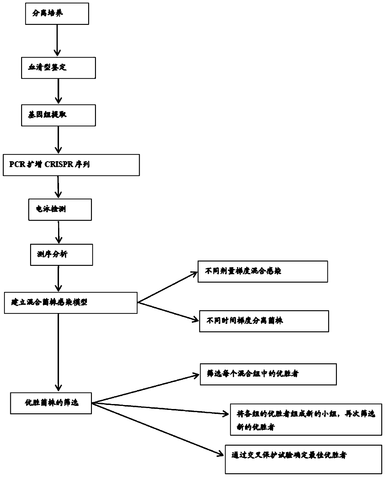 Vaccine strain screening method