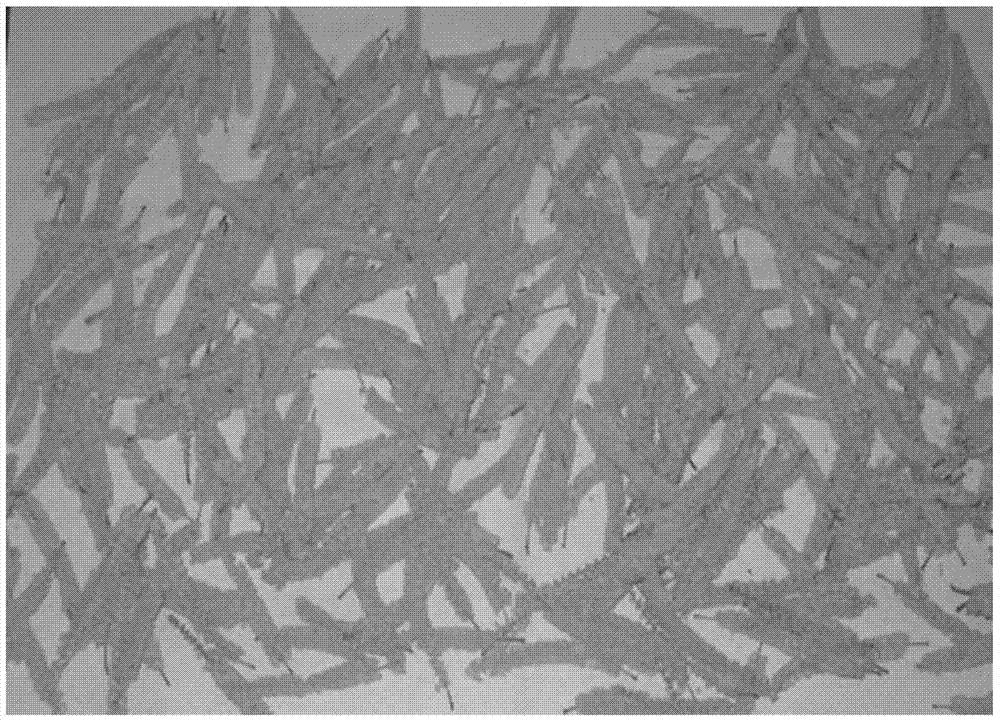 Collection, storage, in-vitro culture and viability detection technology for acacia auriculiformis pollen