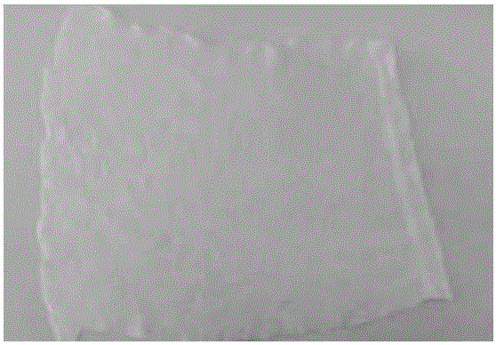 Laundry liquid containing kiwifruit enzyme and plant extract and preparation method of laundry liquid