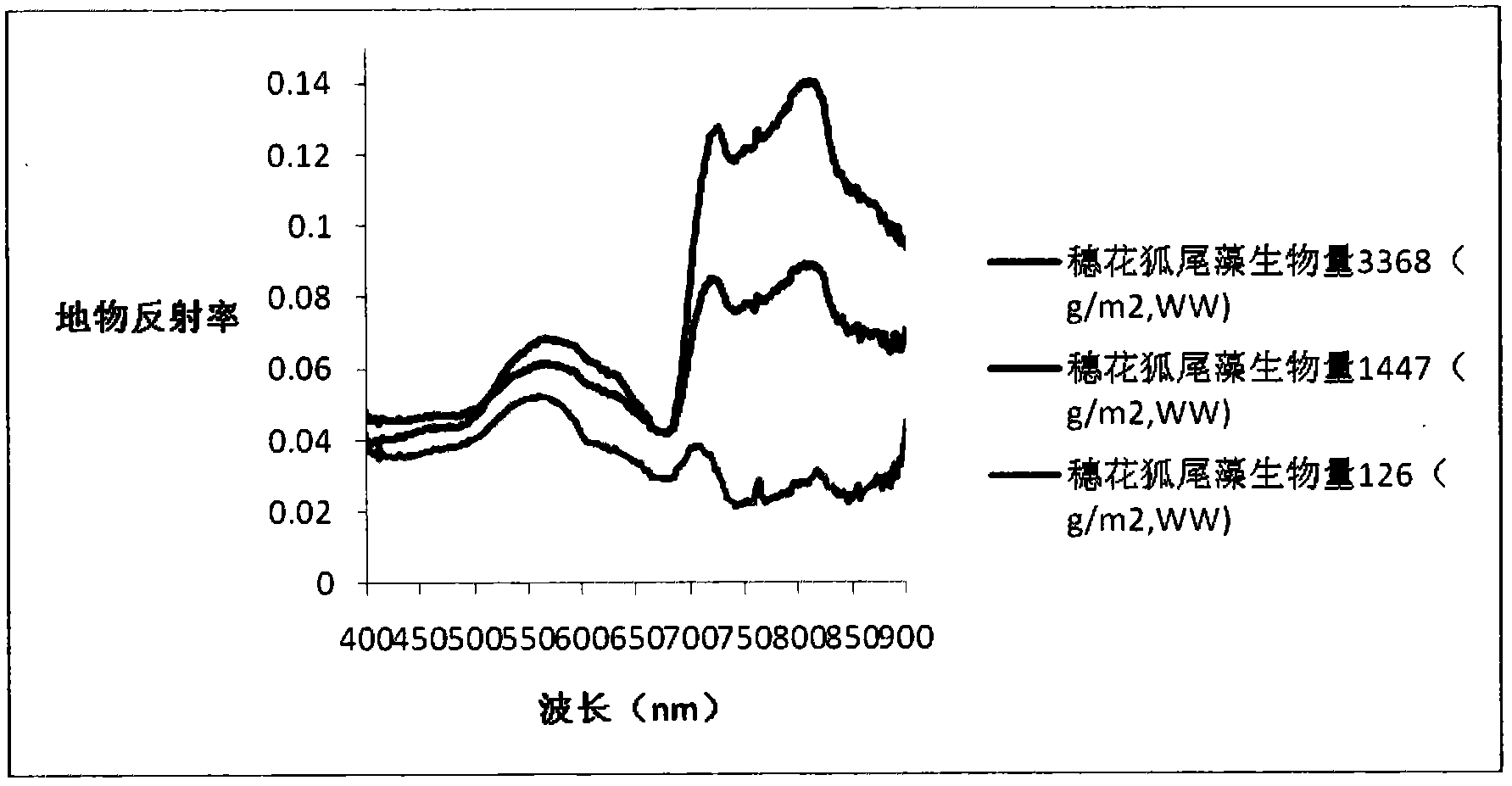 Method for surveying submerged plant biomass by utilizing ground object reflectance spectrum curve