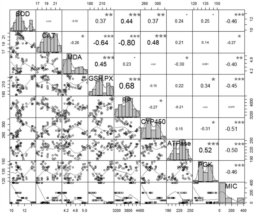 Method for detecting and evaluating tetracycline environmental risk by using paramecium biomarkers and IBR