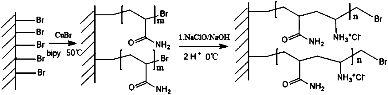 Quaternized polymer brush antibacterial material based on Si-ATRP (Surface-initiated Atom Transfer Radical Polymerization) method and preparation method of antibacterial material