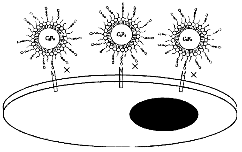 Targeted nanoscale ultrasonic microbubble