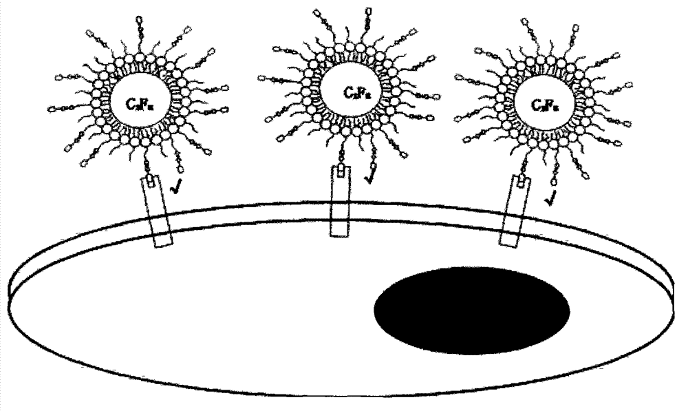 Targeted nanoscale ultrasonic microbubble