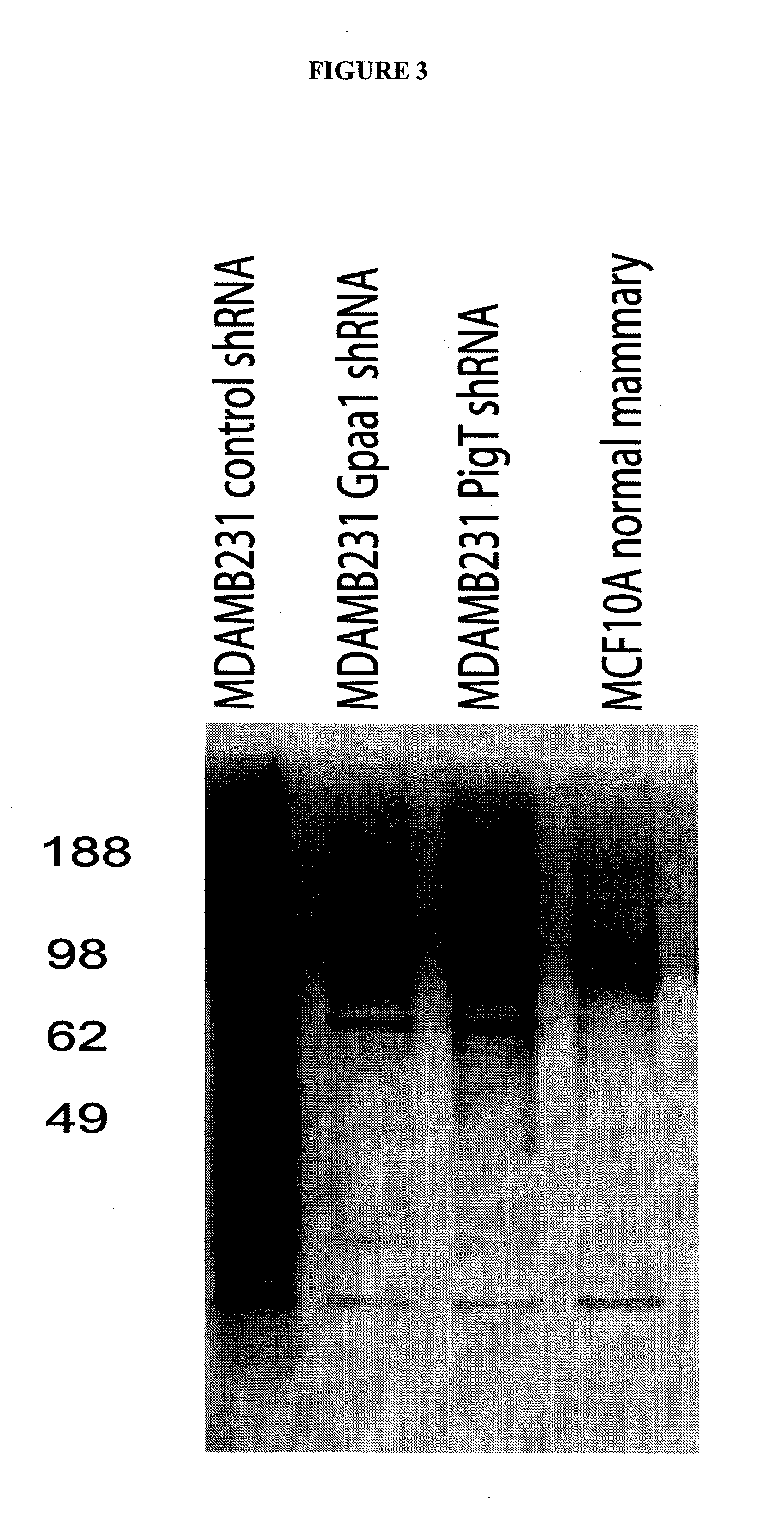 Alpha toxin detection of gpi anchored proteins