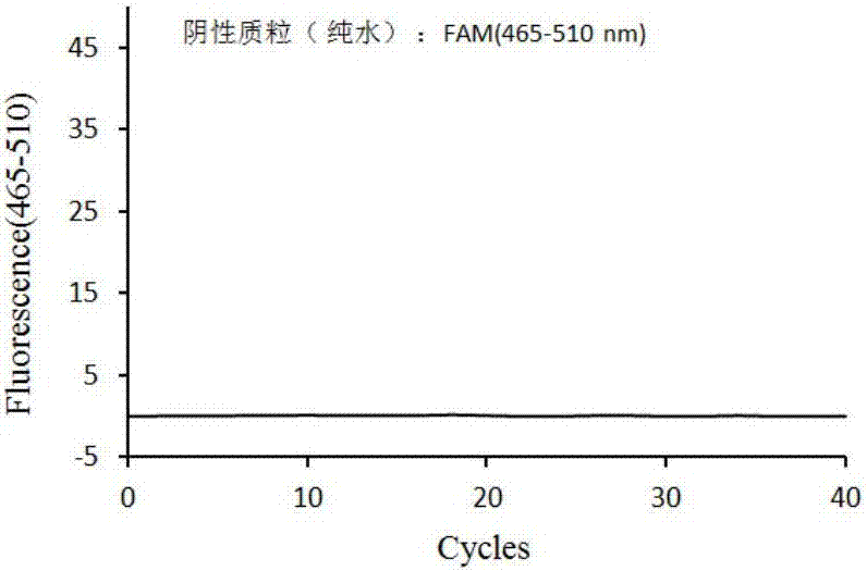 Primers, probes and detection kit for detection of DPYD*2A genetic polymorphism