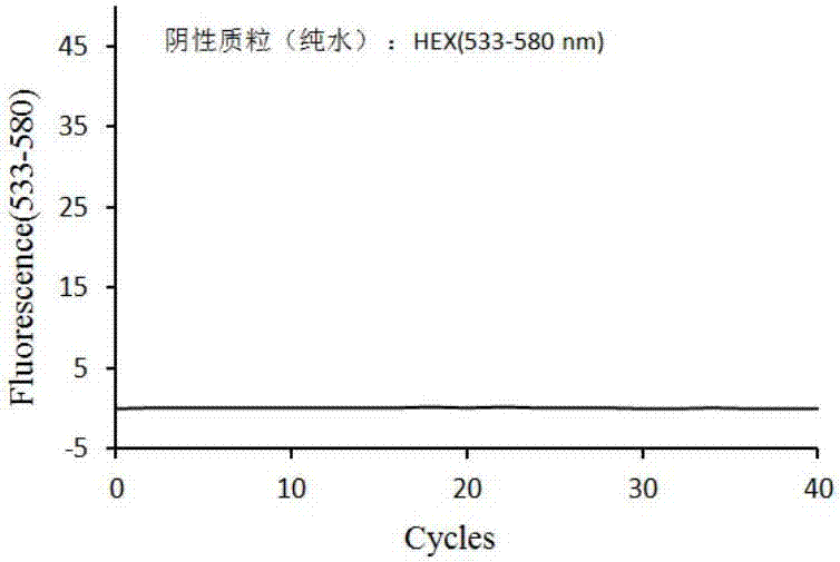 Primers, probes and detection kit for detection of DPYD*2A genetic polymorphism