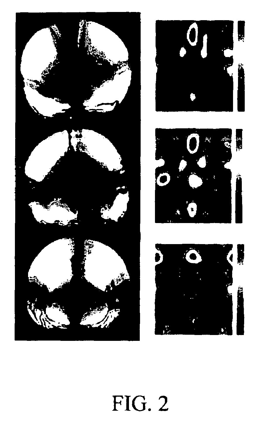 Optical method and system for rapid identification of multiple refractive index materials using multiscale texture and color invariants