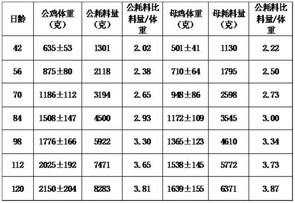 Breeding method of red Yao ma chickens