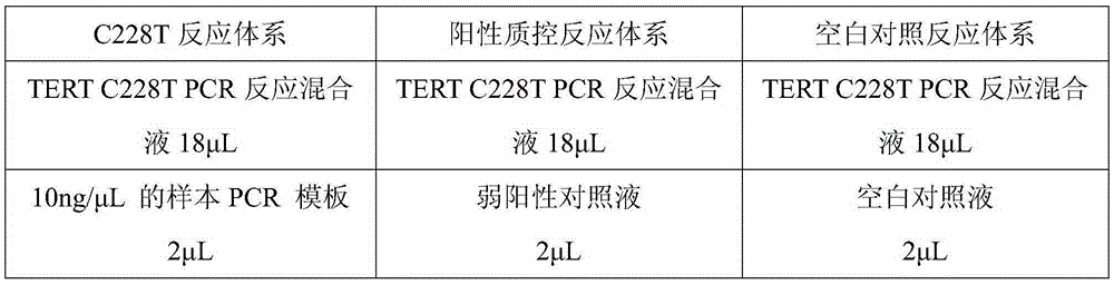 Probe method detecting human TERT gene promoter mutation and reagent kit thereof