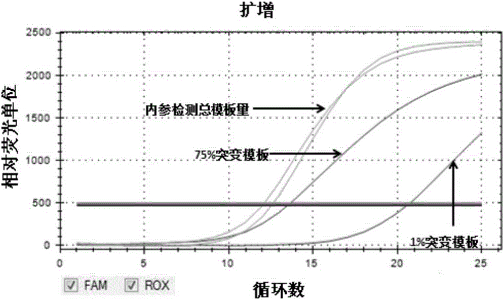 Probe method detecting human TERT gene promoter mutation and reagent kit thereof