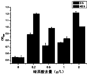 Application of sphingomonas strain xp in degrading polyphenolic compounds in tobacco stems