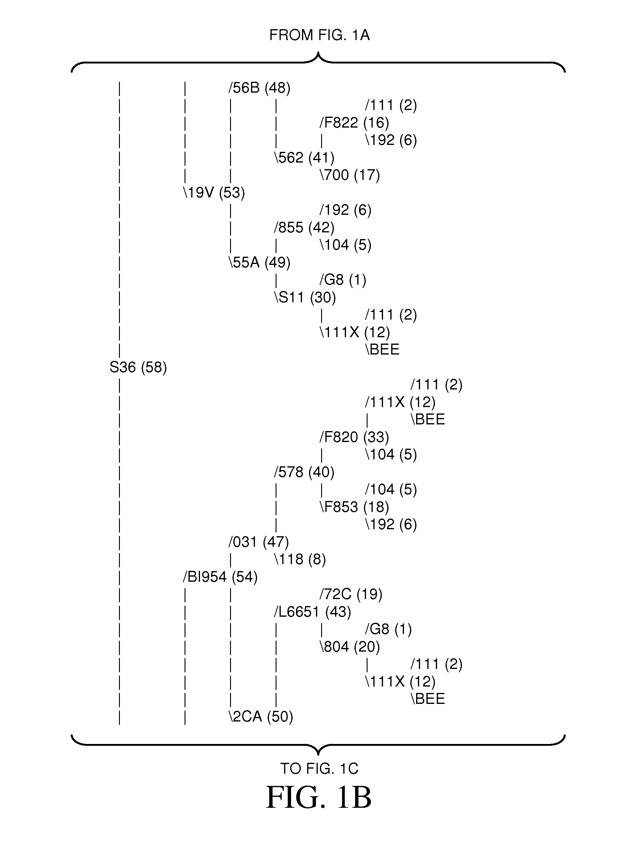 Non-dehiscent sesame IND variety Sesaco 36