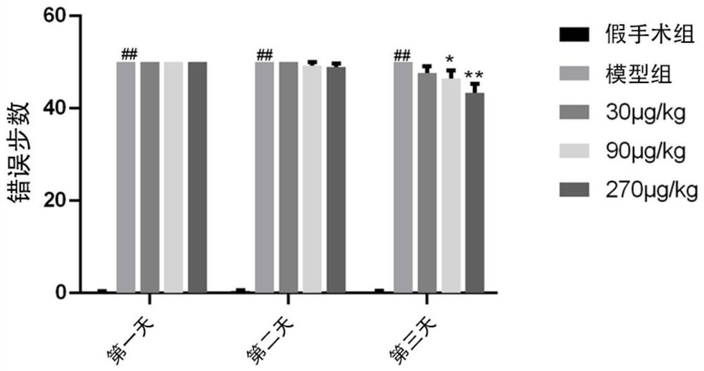 Application of TIMP-1 in preparation of medicine for preventing or treating traumatic brain injury