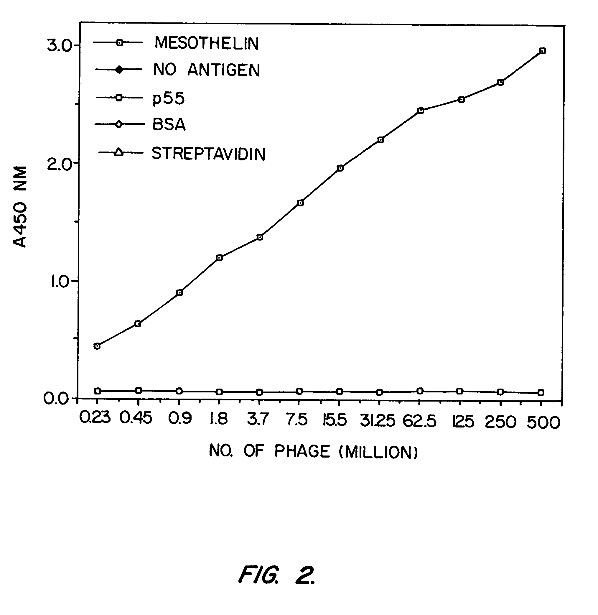 Antibodies, including FV molecules, and immunoconjugates having high binding affinity for mesothelin and methods for their use