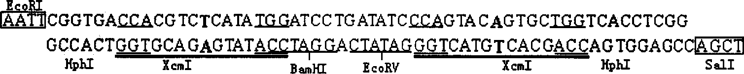 DNA sequence for constituting T carrier and the T carrier constituting process