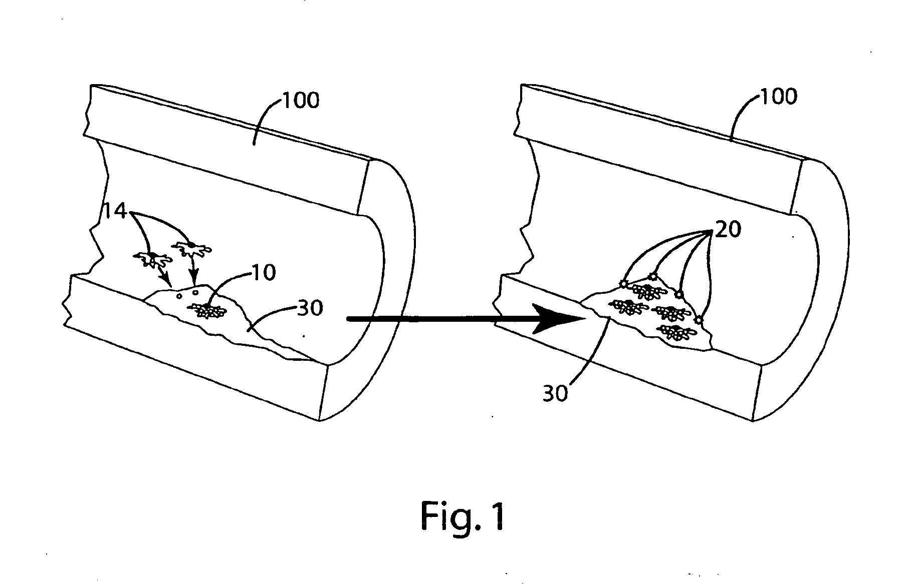 Cytokine modulators and related methods of use