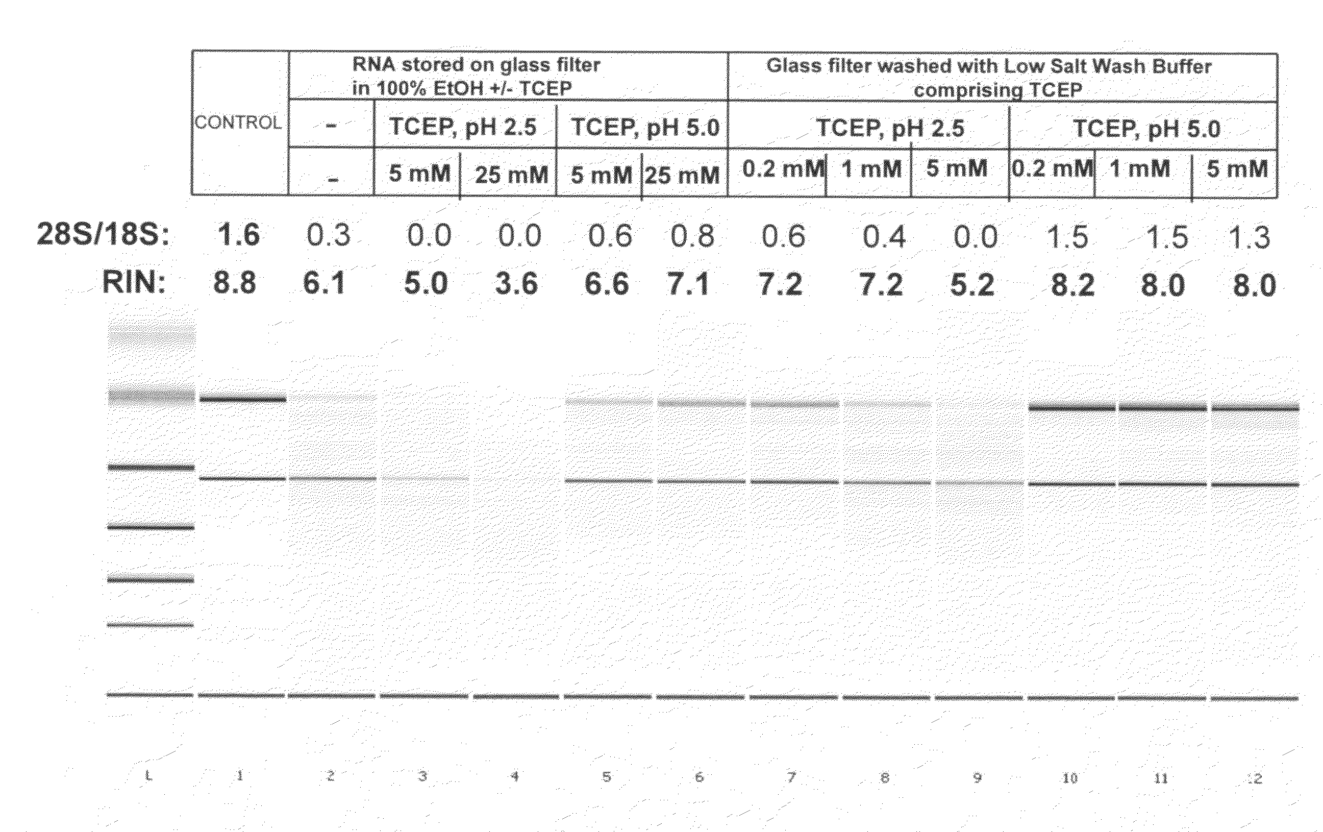 Stabilization of nucleic acids on solid supports