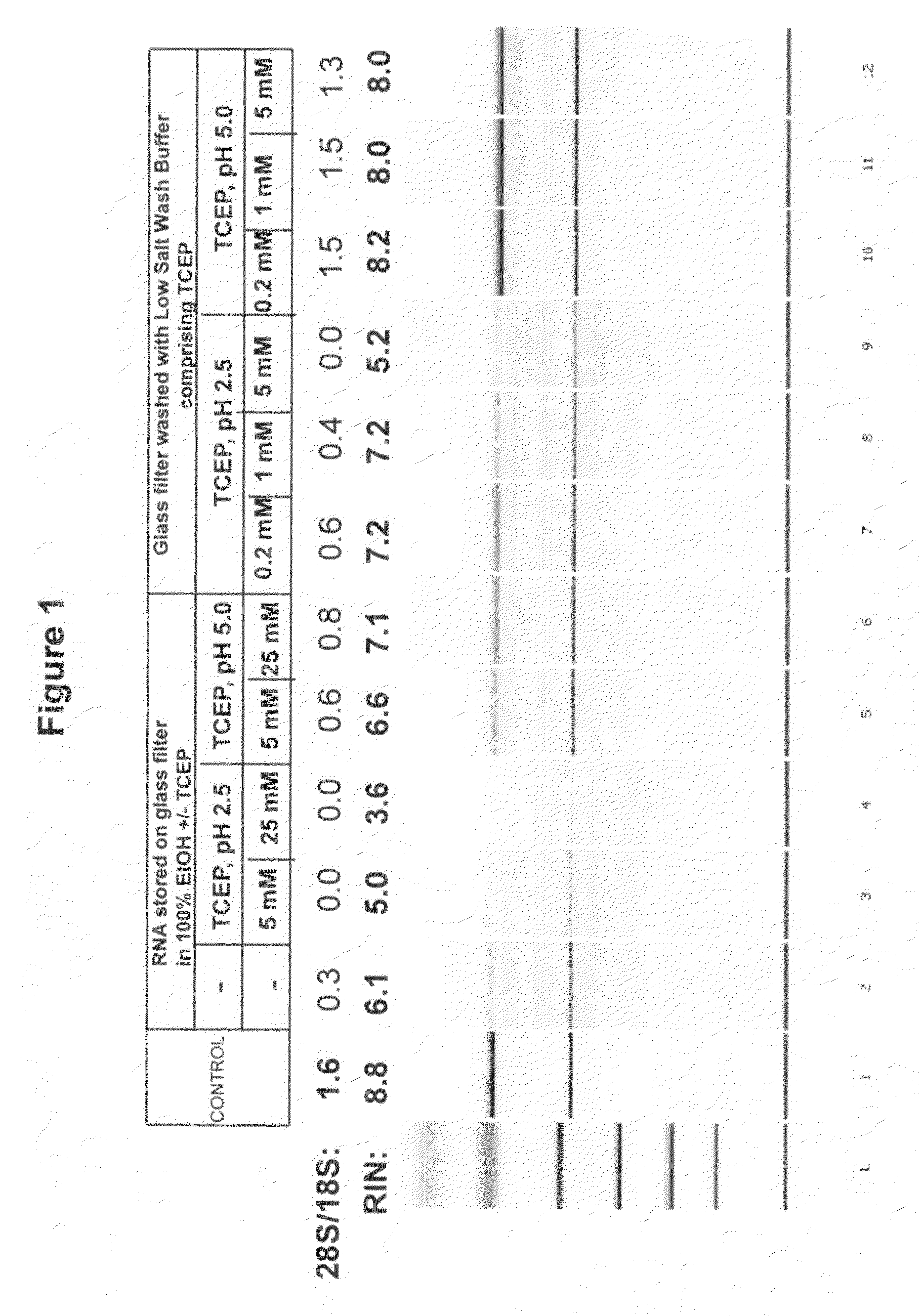 Stabilization of nucleic acids on solid supports