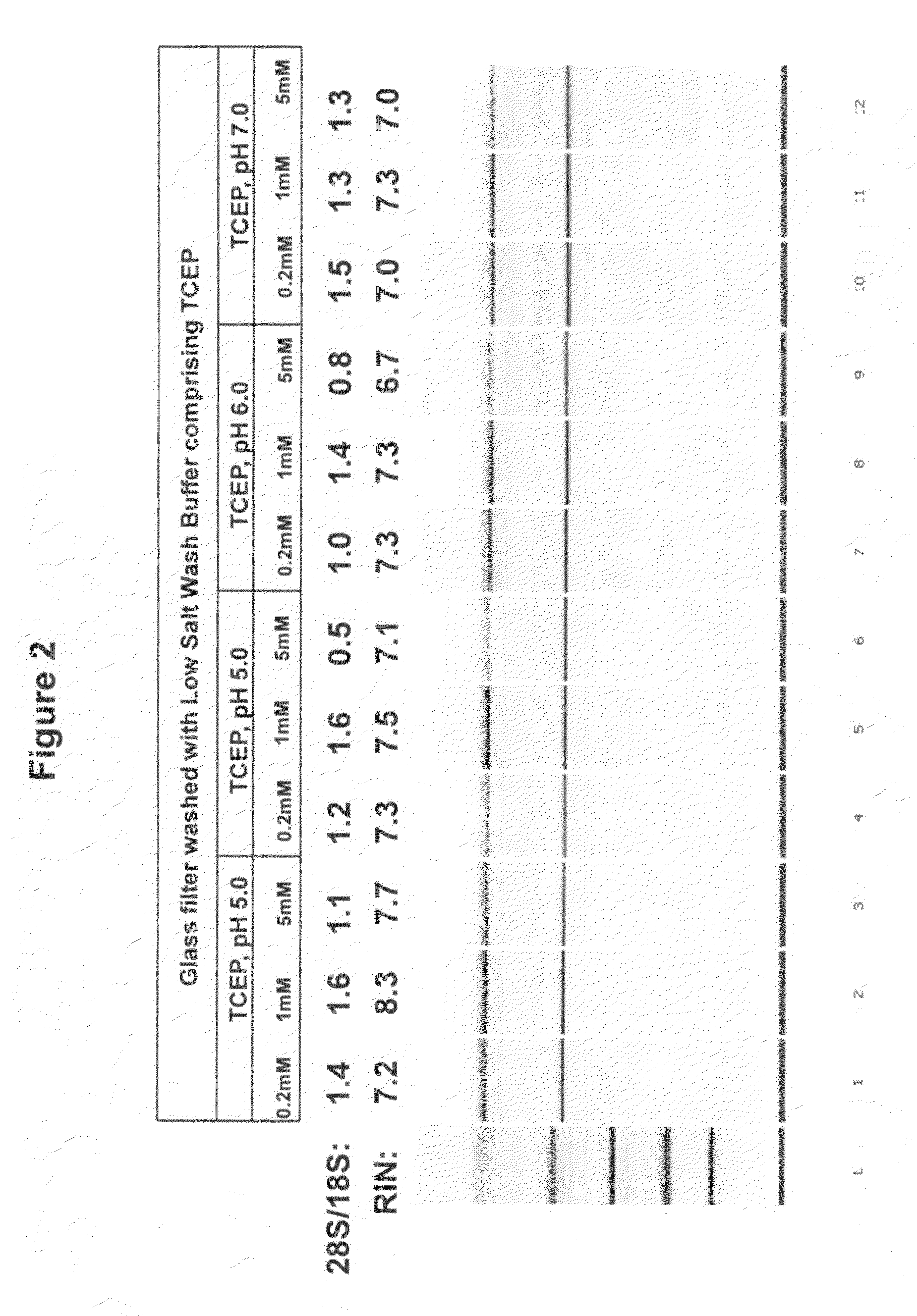 Stabilization of nucleic acids on solid supports