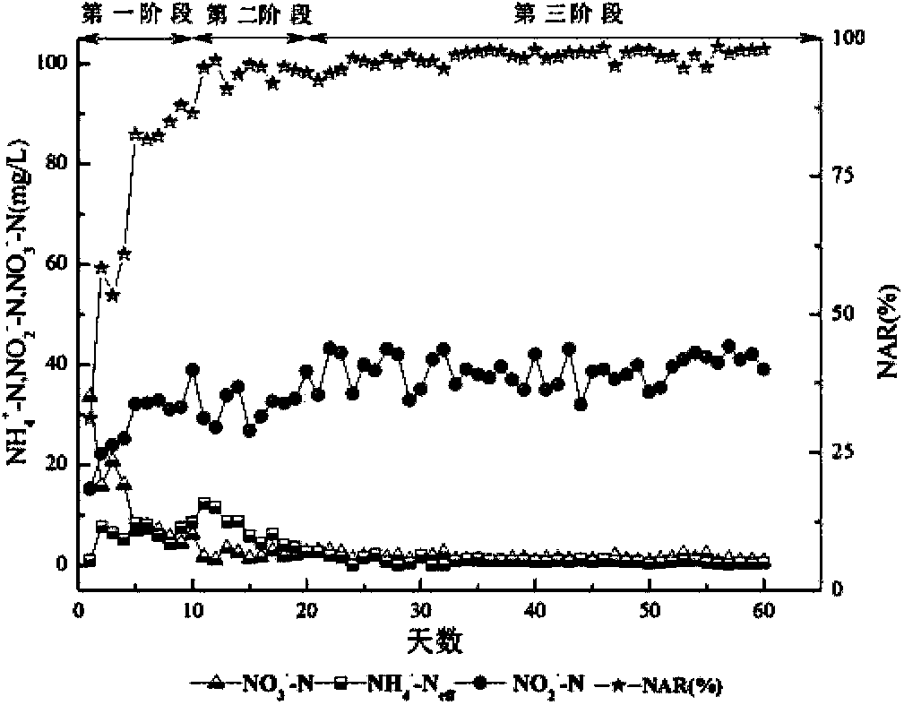 Magnetic activated sludge reactor and method for realizing short-cut denitrification