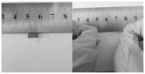 Preparation method of self-healing hydrogel