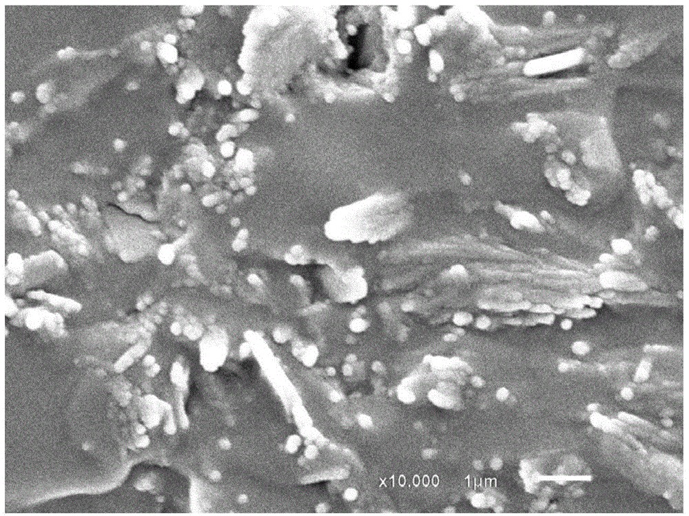 Preparation method for natural high-antibacterial-property water-absorbent resin