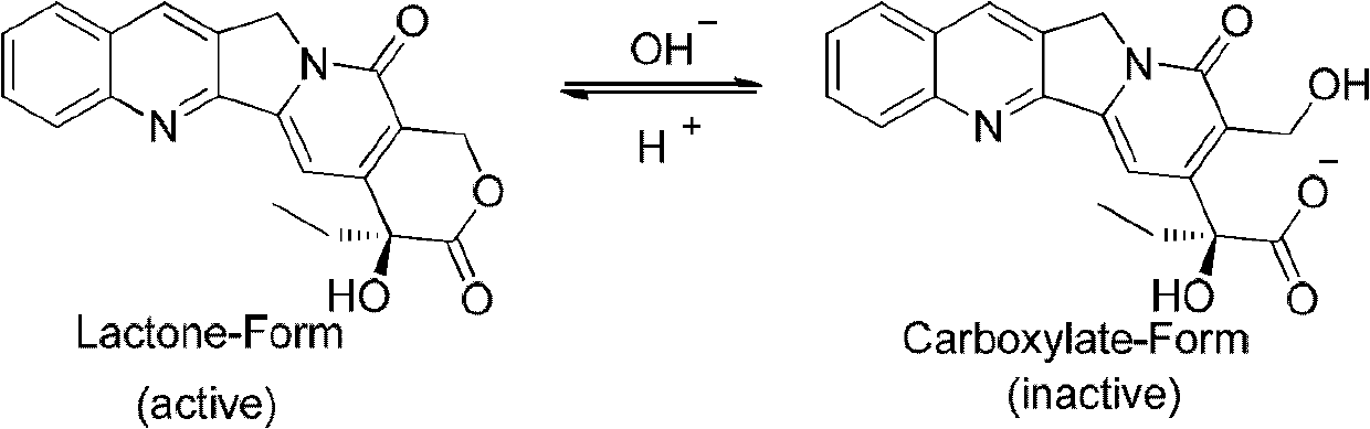 Camptothecin E ring analogues and applications thereof as drugs