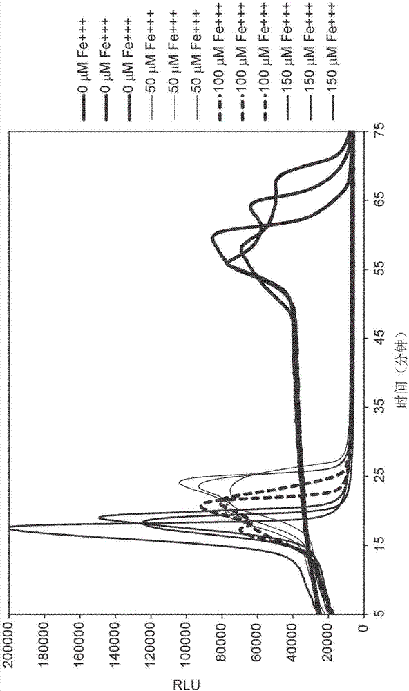 Composition for reducing inhibition of nucleic acid amplification