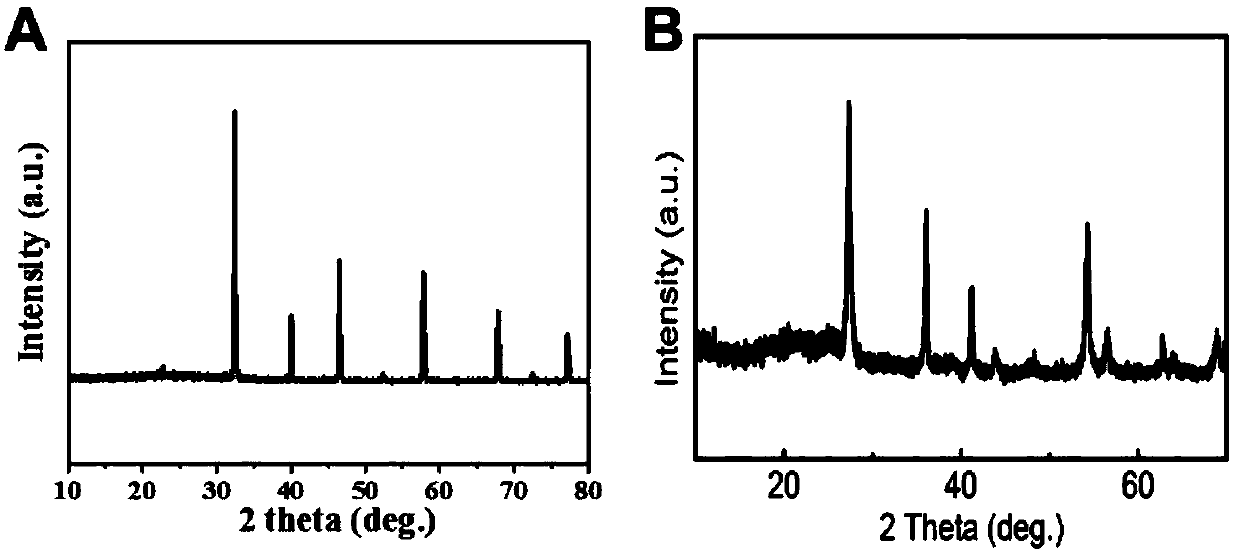 A class of metal oxide materials with special microstructure, and preparation method thereof