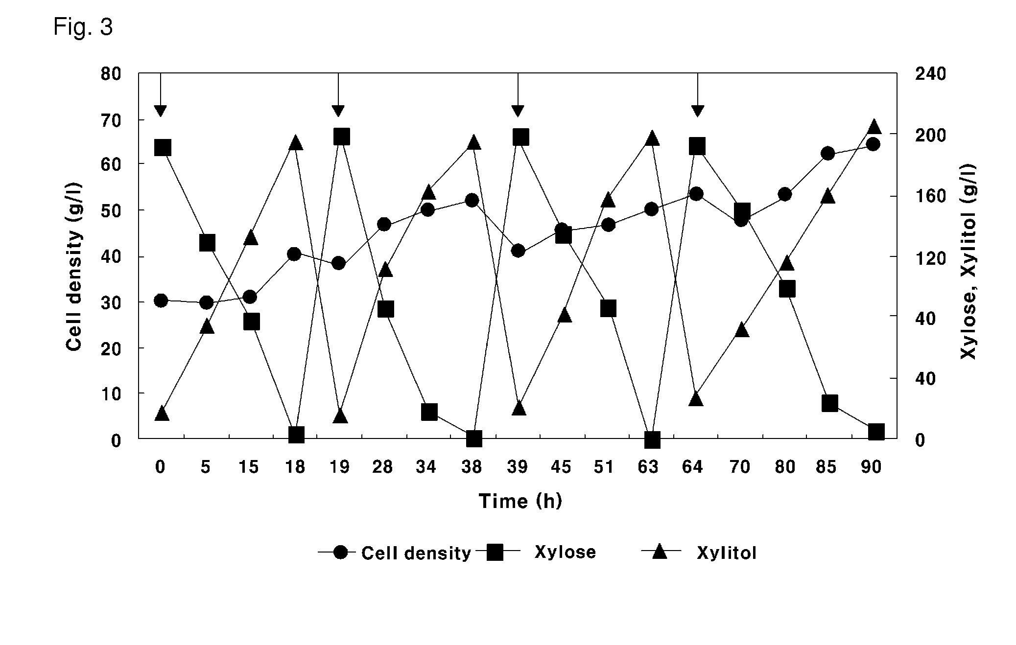 Method of producing xylitol using hydrolysate containing xylose and arabinose prepared from byproduct of tropical fruit biomass