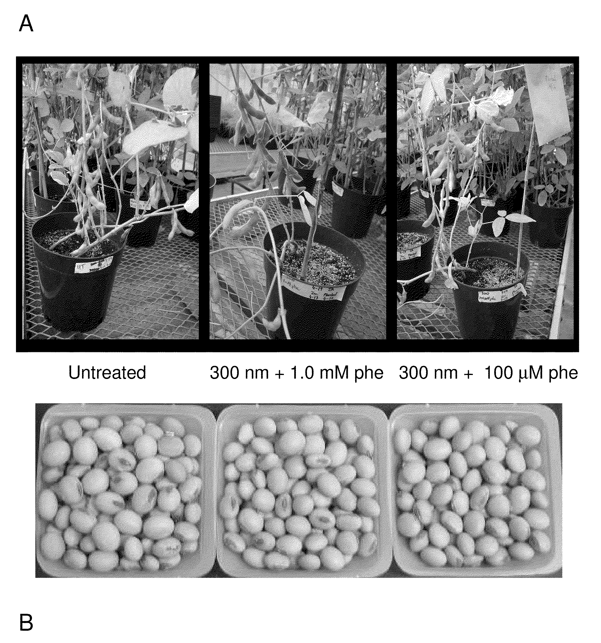 Plant biochemical systems and uses thereof