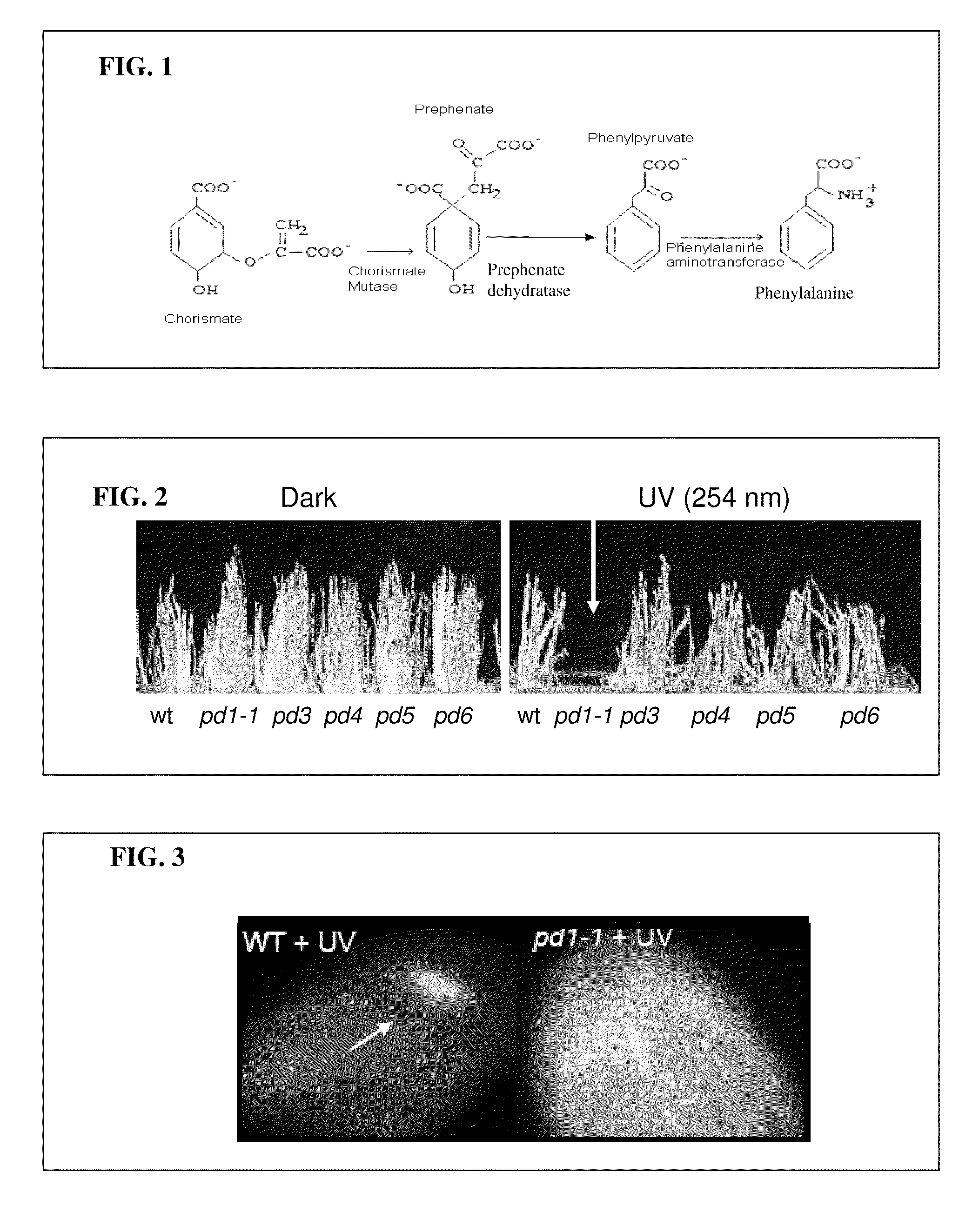 Plant biochemical systems and uses thereof