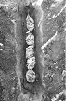 Preparation method and application of low-temperature efficient corn straw degrading bacterial agent