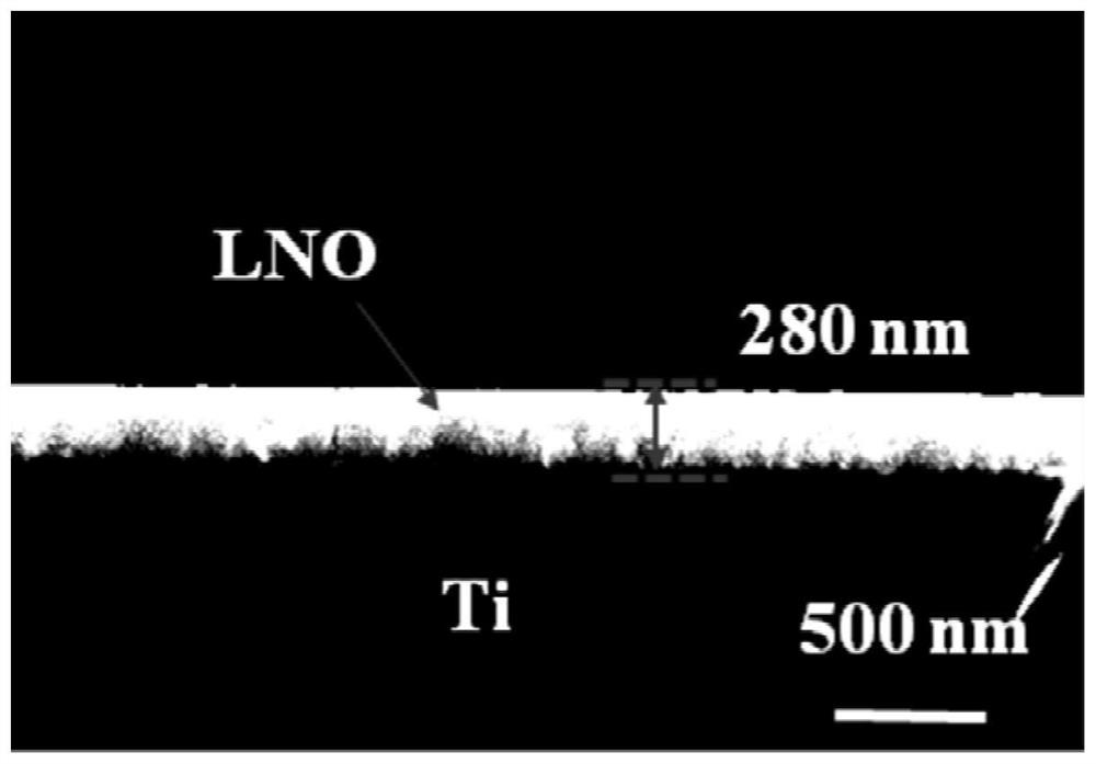 A kind of titanium-based lanthanum nickelate electrode and preparation method thereof