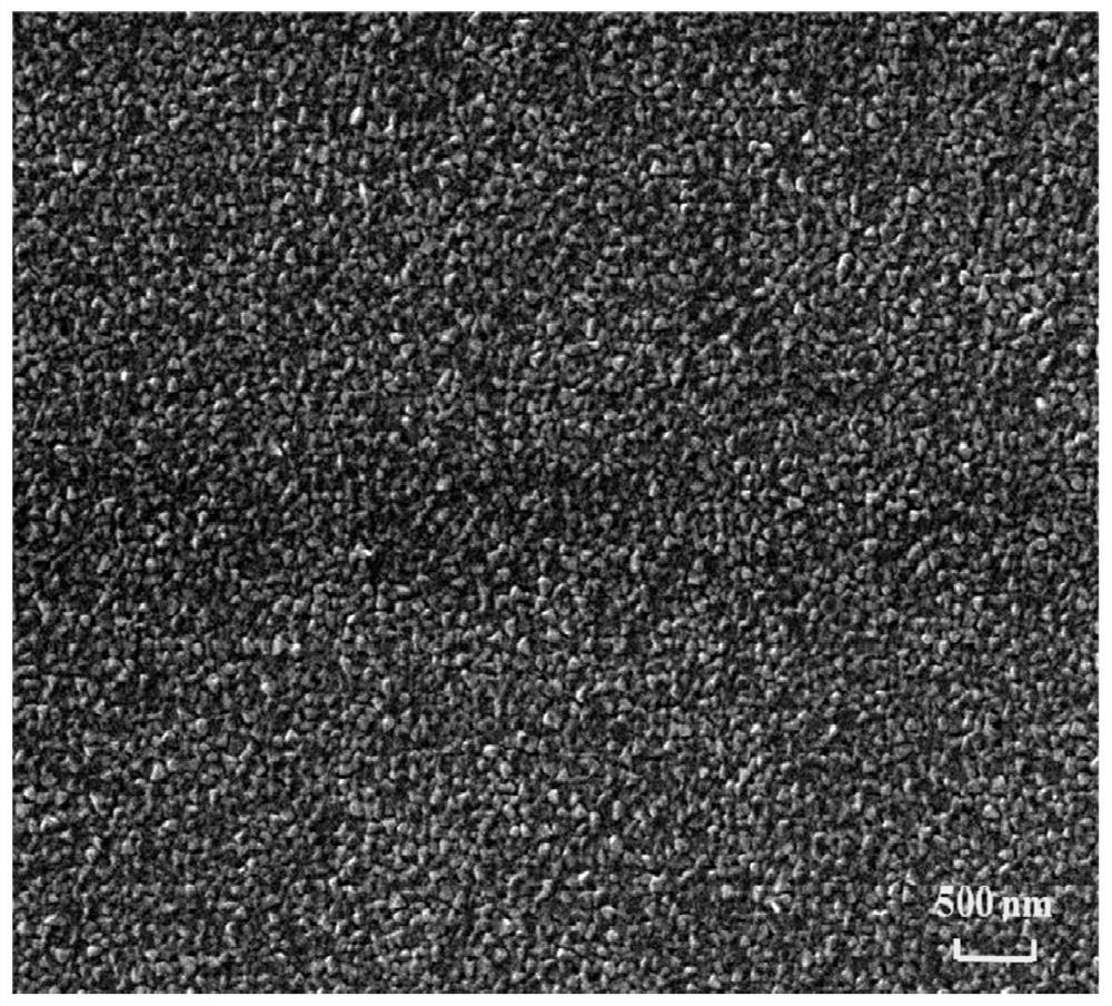 A kind of titanium-based lanthanum nickelate electrode and preparation method thereof