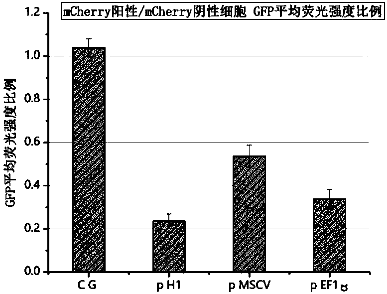 Plasmid structure for expressing CD19CAR and knocking down T cell surface PD-1 expression simultaneously and construction method thereof