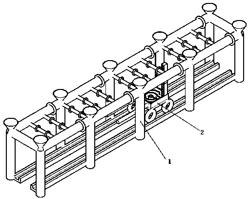 A method for growing grapes that is convenient for picking and transporting