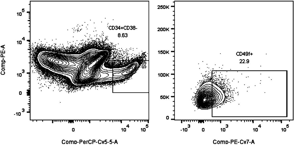 Culture system for in-vitro amplification of hematopoietic stem cells