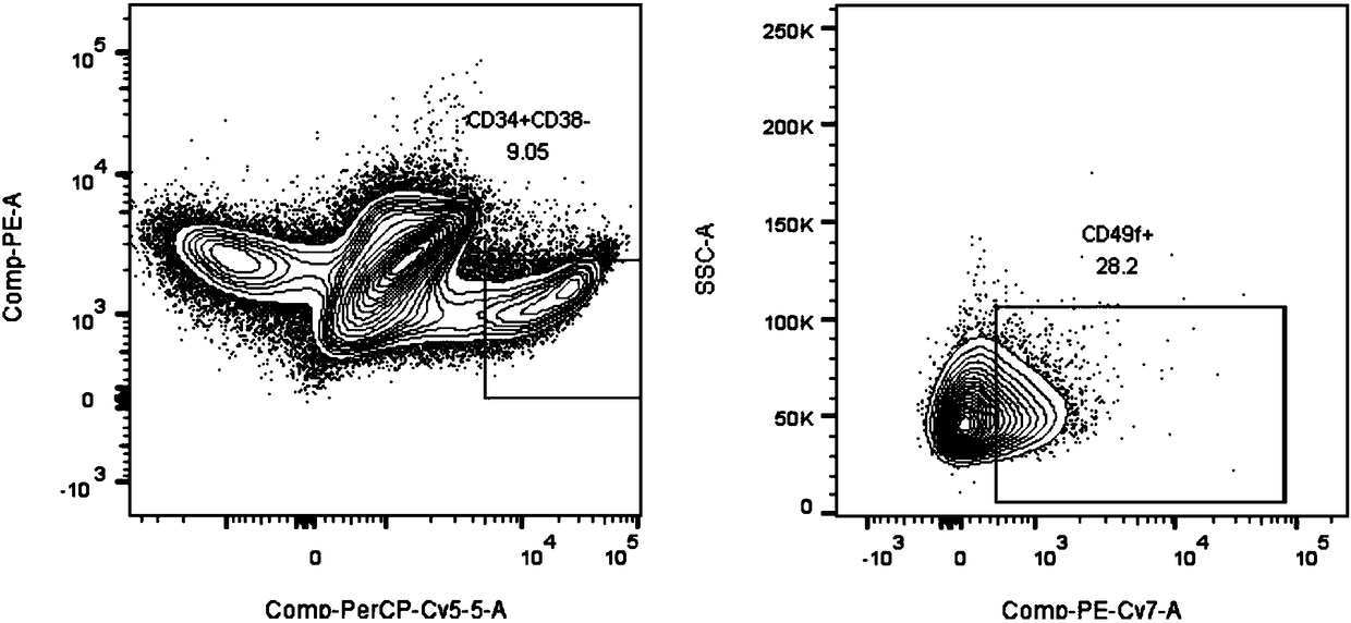 Culture system for in-vitro amplification of hematopoietic stem cells