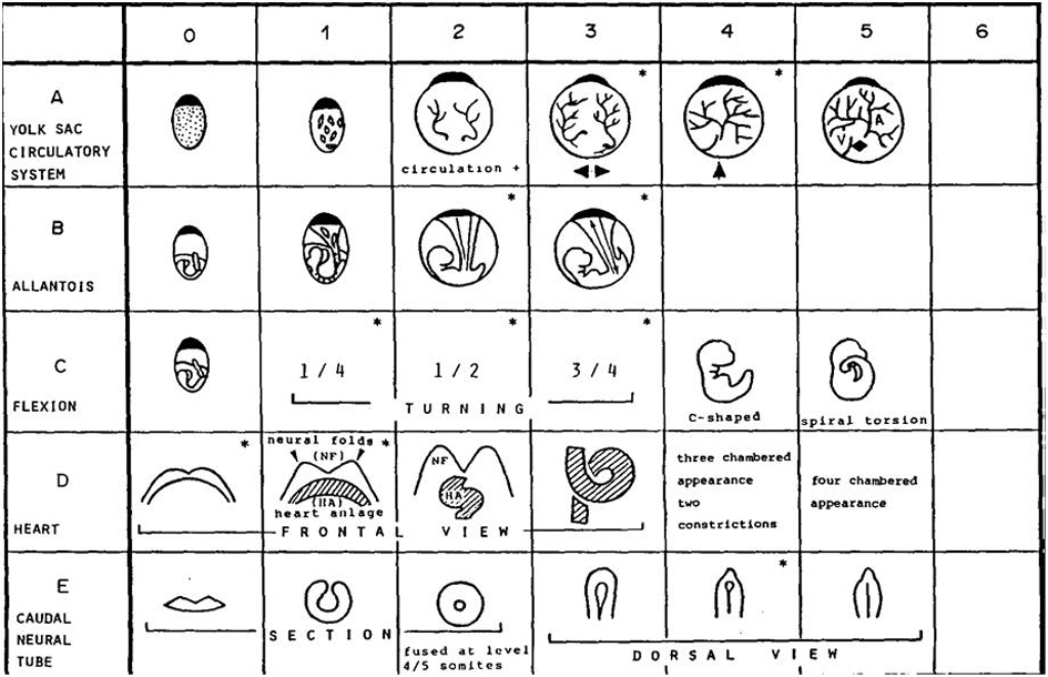 A mouse embryo organ recognition and scoring method and system