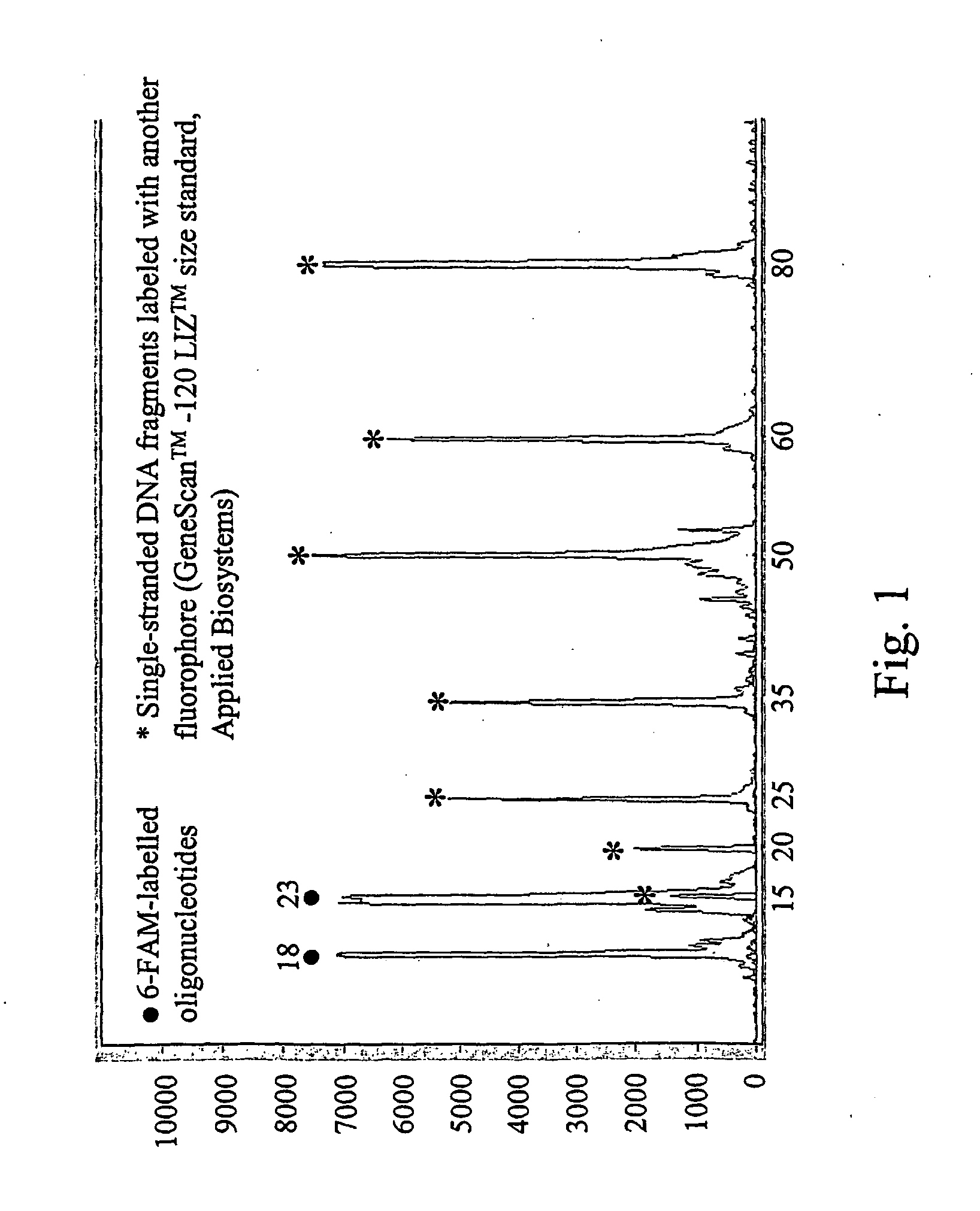 Method and test kit for quantitative determination of polynucleotides in a mixture