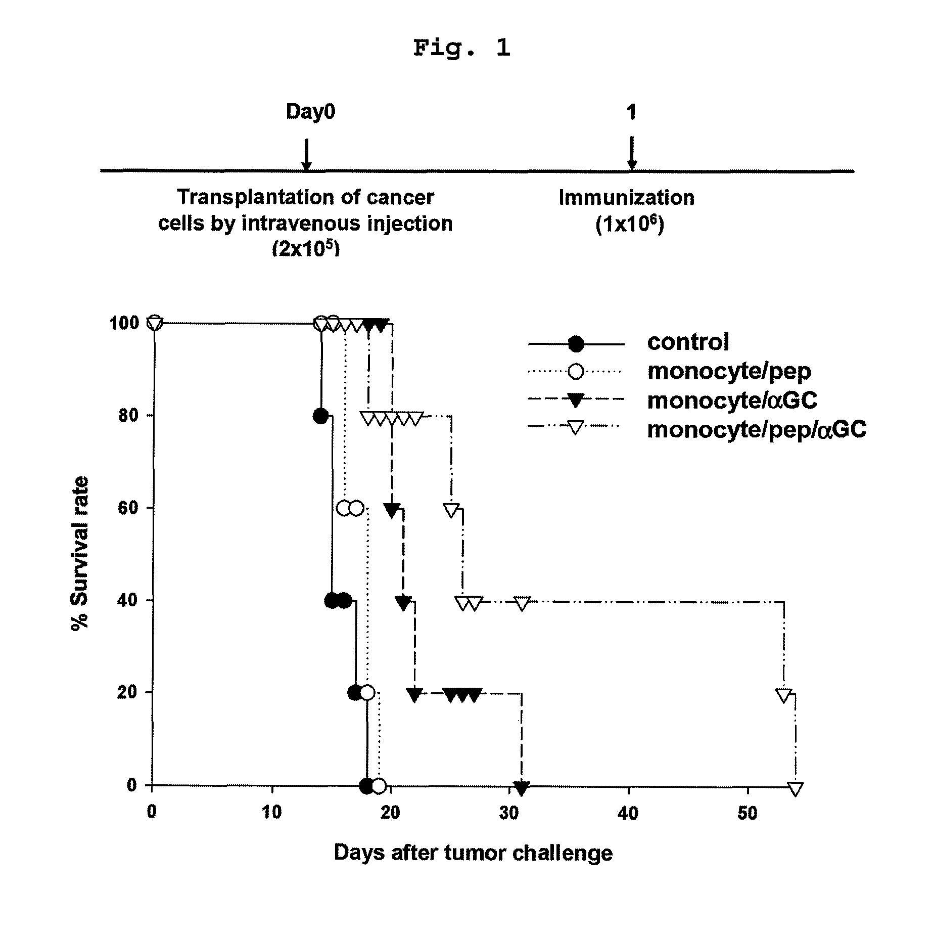 Vaccine comprising monocyte or immature myeloid cells (IMC) which were loaded with the ligand of natural killer T cell and antigen