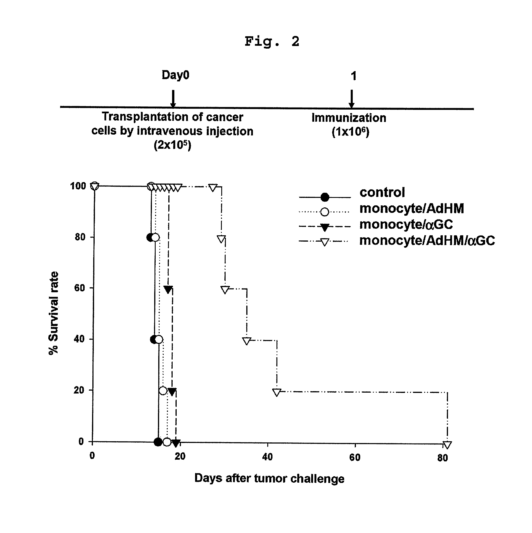 Vaccine comprising monocyte or immature myeloid cells (IMC) which were loaded with the ligand of natural killer T cell and antigen