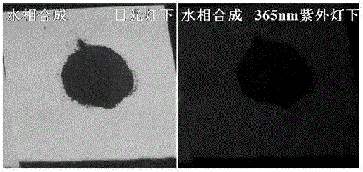 Method for rapidly preparing solid light-emitting material