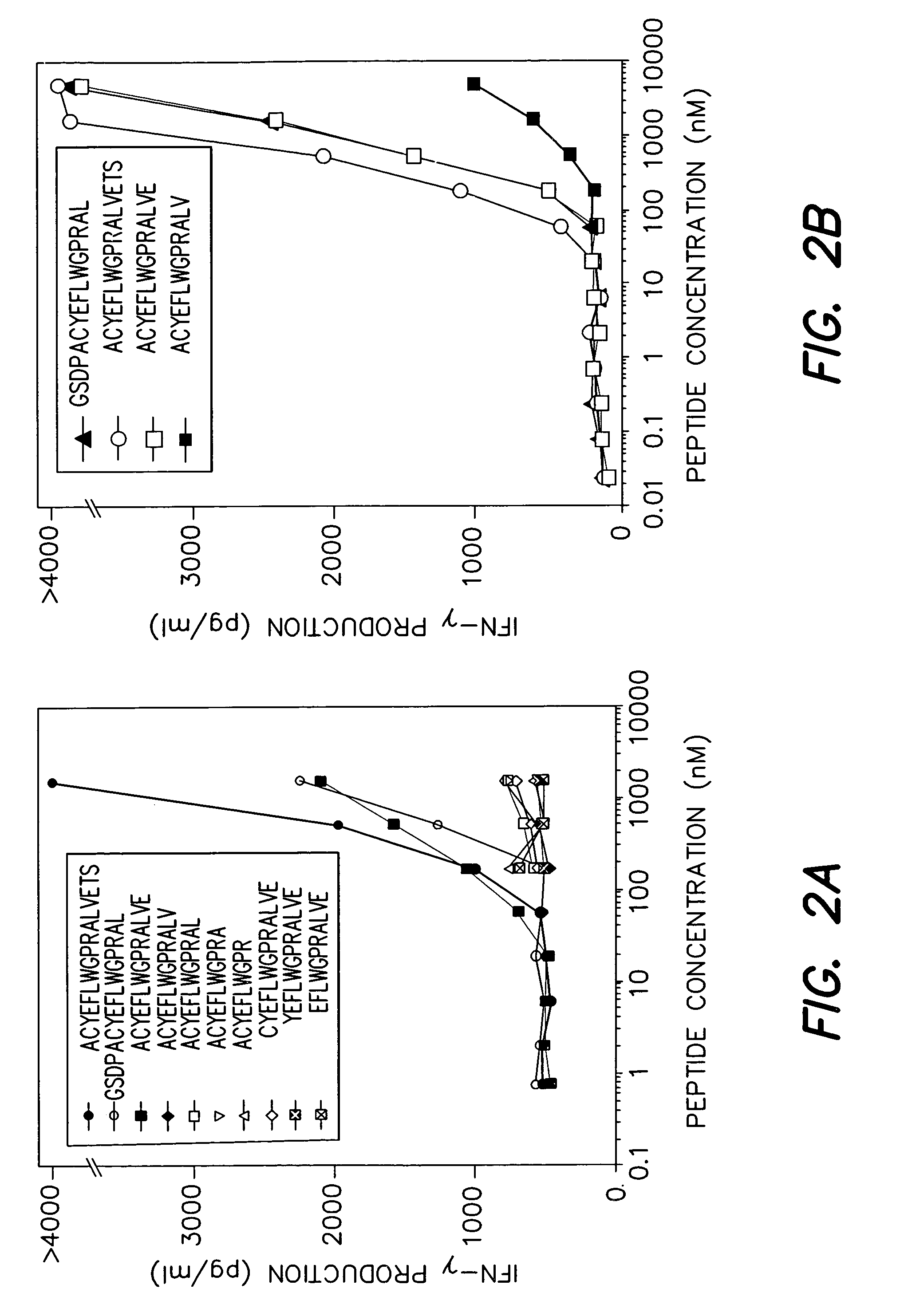 MAGE-A3 peptides presented by HLA class II molecules